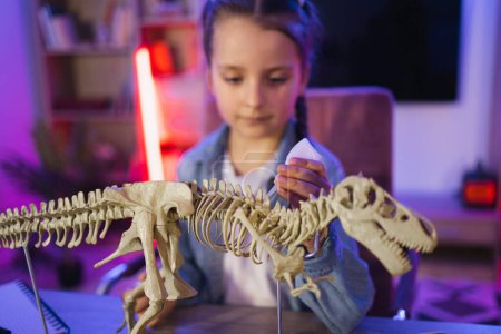 Small Caucasian girl scientist six years old in casual clothes sitting at table examine skeleton of dinosaur. Happy preschool child gluing bones making model of tyrannosaurus at evening home.