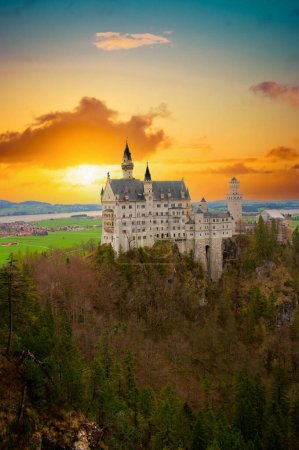 Téléchargez les photos : Château de Newschwander avec une vallée verdoyante en arrière-plan
. - en image libre de droit