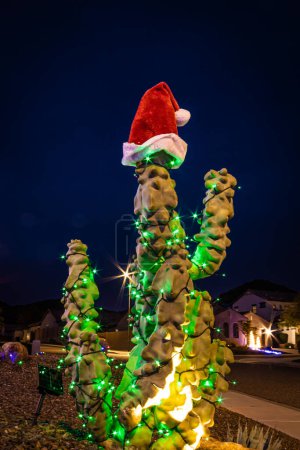 Un cactus totémique illuminé par des lumières de Noël et un chapeau de Père Noël devant une maison le soir.