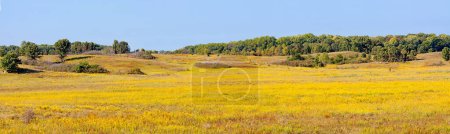 Photo for Panoramic view of the golden prairie at Nachusa Grasslands on a sunny autumn day. - Royalty Free Image