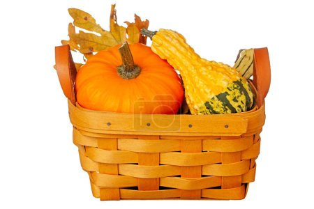 Photo for Pumpkin and gourds packed into a basket with autumn colored leaves. Isolated on a white background. - Royalty Free Image