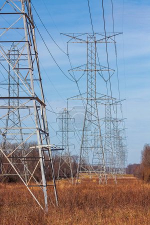 Standing in the underbrush of a forest, high voltage electricity towers deliver electricity into the horizon.