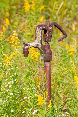 Photo for Slowly overtaken by a field of autumn wildflowers, a rusty old hand pump succumbs to the elements of nature. - Royalty Free Image