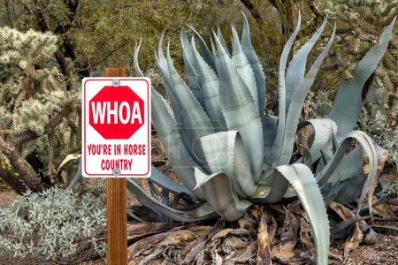 Téléchargez les photos : Sign that shows "Whoa...You're In Horse Country" along a trail beside a blue agave plant near Saguaro National Park in Tucson, Arizona. - en image libre de droit