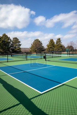 Vertical view of a pickleball complex with blue and green courts beside a playground in a suburban park in early spring.