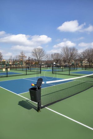View of a pickleball complex with blue and green courts beside a playground in a suburban park in early spring.