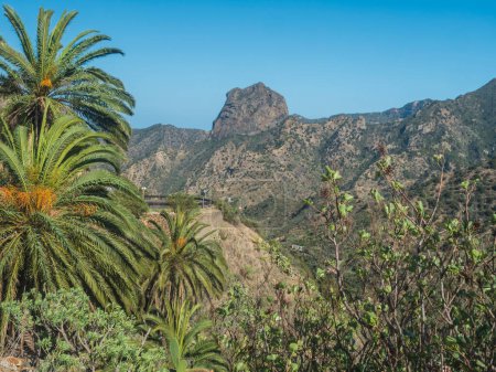 Photo for View to the Roque Cano, a famous volcanic cliff on the north side of La Gomera. Palm tree, rural mountain landscape in the valley of Vallehermoso. La Gomera. Canary Islands. Spain. - Royalty Free Image