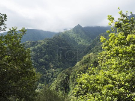 View of valley with green mountains and tropical plants from Levada Do Rei PR18 hike, from Sao Jorge ending at the source in Ribeiro Bonito, Madeira, Portugal.