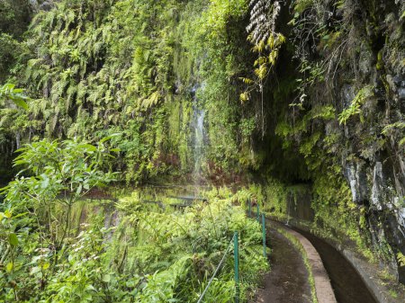 View of levada, water irrigation channel and tropical plants from Levada Do Rei PR18 hike, from Sao Jorge ending at the source in Ribeiro Bonito, Madeira, Portugal.