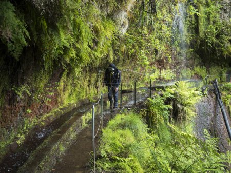 tourist people walking through waterfall at Levada Do Rei PR18 hike, water irrigation channel and tropical plants. Sao Jorge ending at the source in Ribeiro Bonito, Madeira, Portugal.
