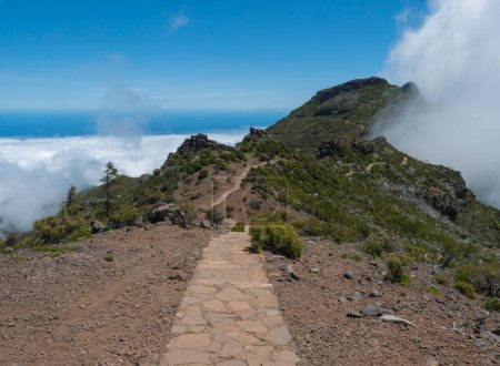 Chemin pavé, sentier de randonnée PR1.2 de Achada do Teixeira à la montagne Pico Ruivo, le plus haut sommet de Madère, Portugal