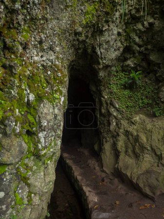 Entrance to the small tunnel at levada in dense tropical laurel forest with mossa nd ferns. Levada Caldeirao Verde and Caldeirao do Inferno hiking trail, Madeira island, Portugal.