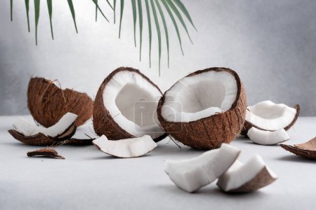 Gruppe von geknackten Kokosfrüchten auf grauem Hintergrund mit dramatischem Licht