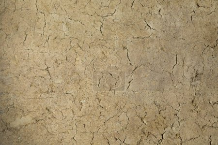Photo for Textured background of an old yellow beige farm wall - Royalty Free Image