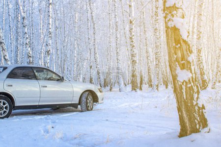 Foto de Coche blanco en un bosque de invierno en un claro nevado al atardecer - Imagen libre de derechos