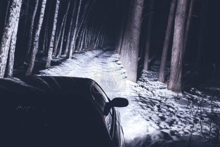 sports car with high beam on in a winter pine forest at night, front and background blurred with bokeh effect 