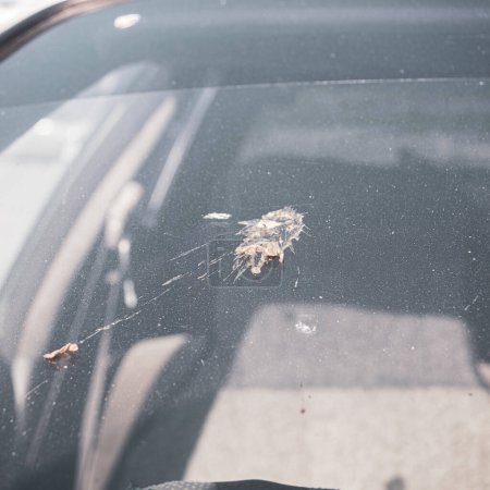 Bird droppings on the windshield of a car. The windshield of the car stained with bird excrement. It's an unpleasant situation. Selective focus