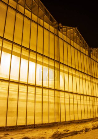 view of the greenhouse from the outside, all shining against the backdrop of snow and frosty night, providing strategic supplies of vegetables