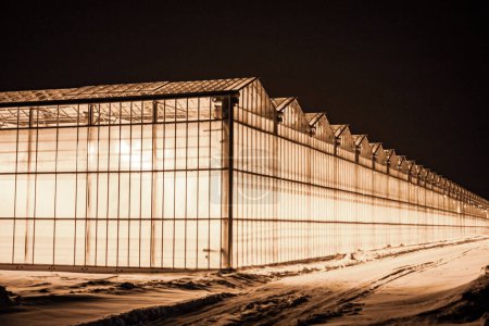 Blick auf das Gewächshaus von außen, die alle vor dem Hintergrund von Schnee und frostiger Nacht leuchten und strategische Versorgung mit Gemüse bieten