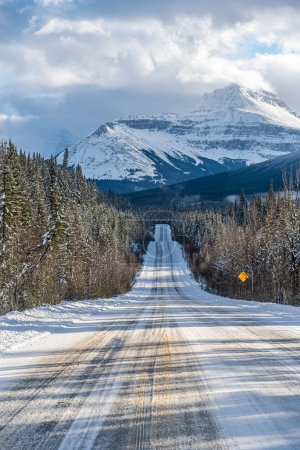 Photo for Views of Jasper Park along the Icefields Pkwy in winter time - Royalty Free Image