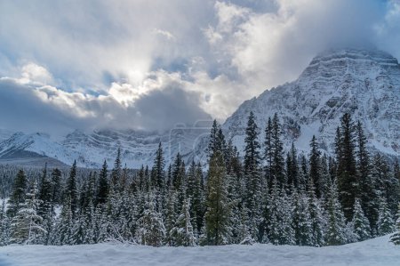 Foto de Vistas de Banff y Jasper Park a lo largo de los campos de hielo Pkwy en invierno - Imagen libre de derechos