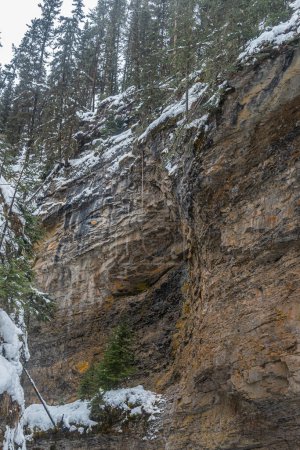 Téléchargez les photos : Chemin menant à la cascade Johnston dans le parc Banff, Alberta, Canada - en image libre de droit