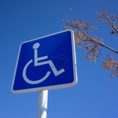 Téléchargez les photos : Panneau de stationnement pour handicapés bleu avec ciel bleu et branche d'arbre - en image libre de droit