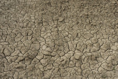 Téléchargez les photos : Texture du sol brun fissuré sec et fond du sol - en image libre de droit
