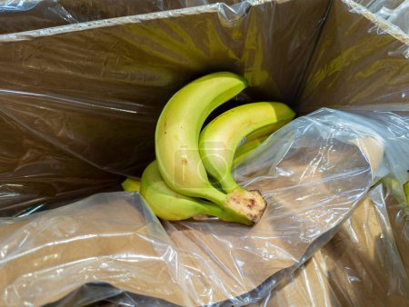 Foto de Plátanos canarios en cajas de cartón en un supermercado listo para la venta - Imagen libre de derechos