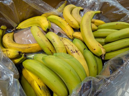 Foto de Plátanos canarios en cajas de cartón en un supermercado listo para la venta - Imagen libre de derechos