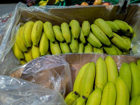 Photo for Canarian bananas in cardboard boxes in a supermarket ready for sale - Royalty Free Image