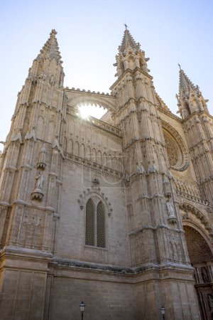 Photo for Spain's Sacred Stone: Exterior Glory of Mallorca Cathedral - Royalty Free Image