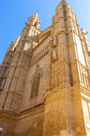 Téléchargez les photos : Offrez-vous une vue imprenable sur la cathédrale de Majorque, où le design gothique rencontre la beauté des Baléares dans une danse séculaire de la pierre et de l'histoire - en image libre de droit