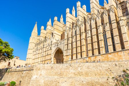 Foto de Disfruta de las cautivadoras vistas de la catedral de Mallorca, donde el diseño gótico se une a la belleza balear en una danza milenaria de piedra e historia - Imagen libre de derechos
