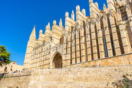 Foto de Adéntrate en el corazón de Mallorca con un recorrido visual por su icónica catedral, celebrando la cultura española y la magnificencia arquitectónica - Imagen libre de derechos
