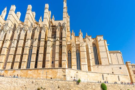 Foto de Majestic Mallorca: Esplendor gótico de la Catedral - Imagen libre de derechos