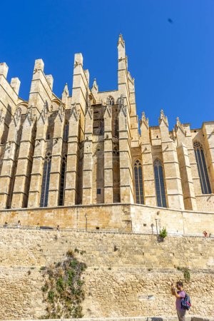 Foto de Adéntrate en el corazón de Mallorca con un recorrido visual por su icónica catedral, celebrando la cultura española y la magnificencia arquitectónica - Imagen libre de derechos