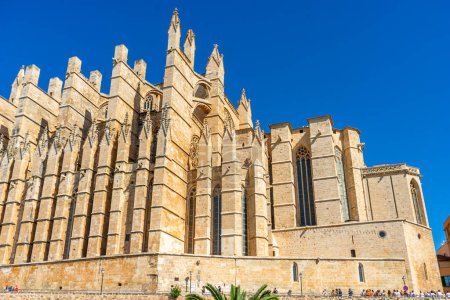 Foto de Experimenta la icónica catedral de Mallorca en toda su grandeza exterior, capturando la esencia del estilo y diseño gótico español - Imagen libre de derechos