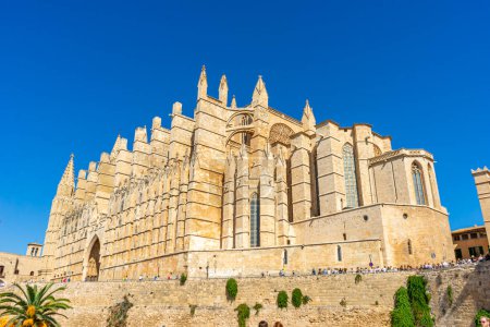 Téléchargez les photos : Laissez les sculptures détaillées, les arcades et les pierres de l'extérieur de la cathédrale de Majorque vous mener dans un monde d'émerveillement spirituel et de maîtrise architecturale - en image libre de droit