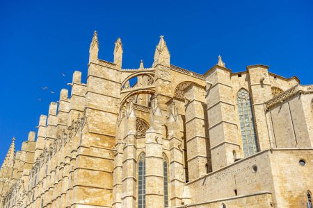 Téléchargez les photos : Majestueuse Majorque : La splendeur gothique de la cathédrale - en image libre de droit