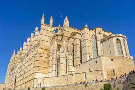 Téléchargez les photos : Laissez les sculptures détaillées, les arcades et les pierres de l'extérieur de la cathédrale de Majorque vous mener dans un monde d'émerveillement spirituel et de maîtrise architecturale - en image libre de droit