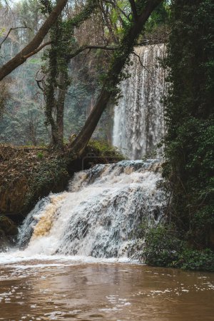 Mehrstöckiger Wasserfall, eingebettet in einen grünen Wald, bietet eine faszinierende Szenerie für Natur- und Landschaftsliebhaber