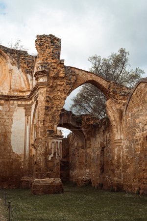 Warm tones envelop the majestic arches and rosette window of the Monasterio de Piedra's cloister, radiating with historical grandeur.