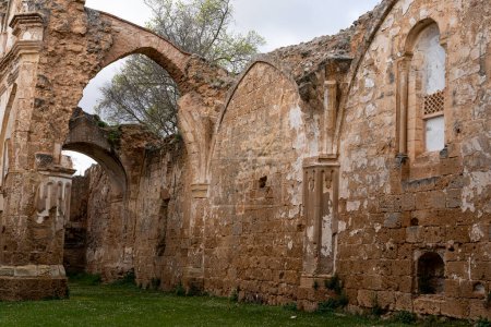 Un disparo vertical que captura la intrincada fachada de las ruinas erosionadas de la iglesia del Monasterio de Piedra contra un cielo nublado.