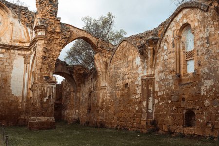 Téléchargez les photos : Des tons chauds enveloppent les majestueuses arches et rosettes du cloître du Monasterio de Piedra, rayonnant de grandeur historique. - en image libre de droit