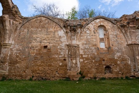 Eine vertikale Aufnahme, die die komplizierte Fassade der verwitterten Ruinen der Kirche Monasterio de Piedra vor wolkenverhangenem Himmel einfängt.