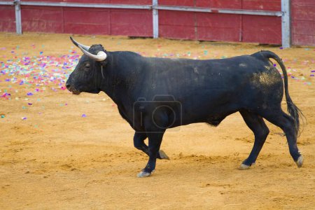 Téléchargez les photos : Tauromachie espagnole : Images captivantes du Corrida de Toros - en image libre de droit