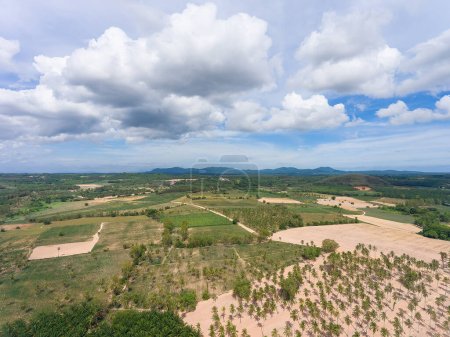 Téléchargez les photos : Terrain agricole avec cocotiers, huile de palme et tapioca à Huai Yai à la périphérie de Pattaya City en Thaïlande. - en image libre de droit
