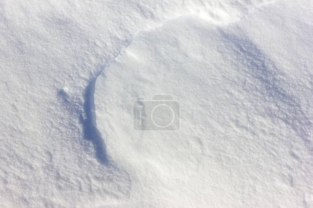 Foto de Cristal blanco nieve superficie tiempo de Navidad en un día de diciembre soleado en Alemania - Imagen libre de derechos