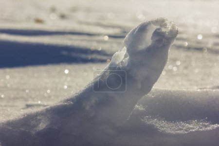 Photo for Crystal white snow surface xmas time on a sunny december day in germany - Royalty Free Image
